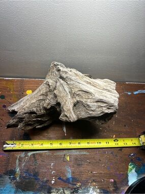 Natural Driftwood Aquarium Decoration - Brown found on James River